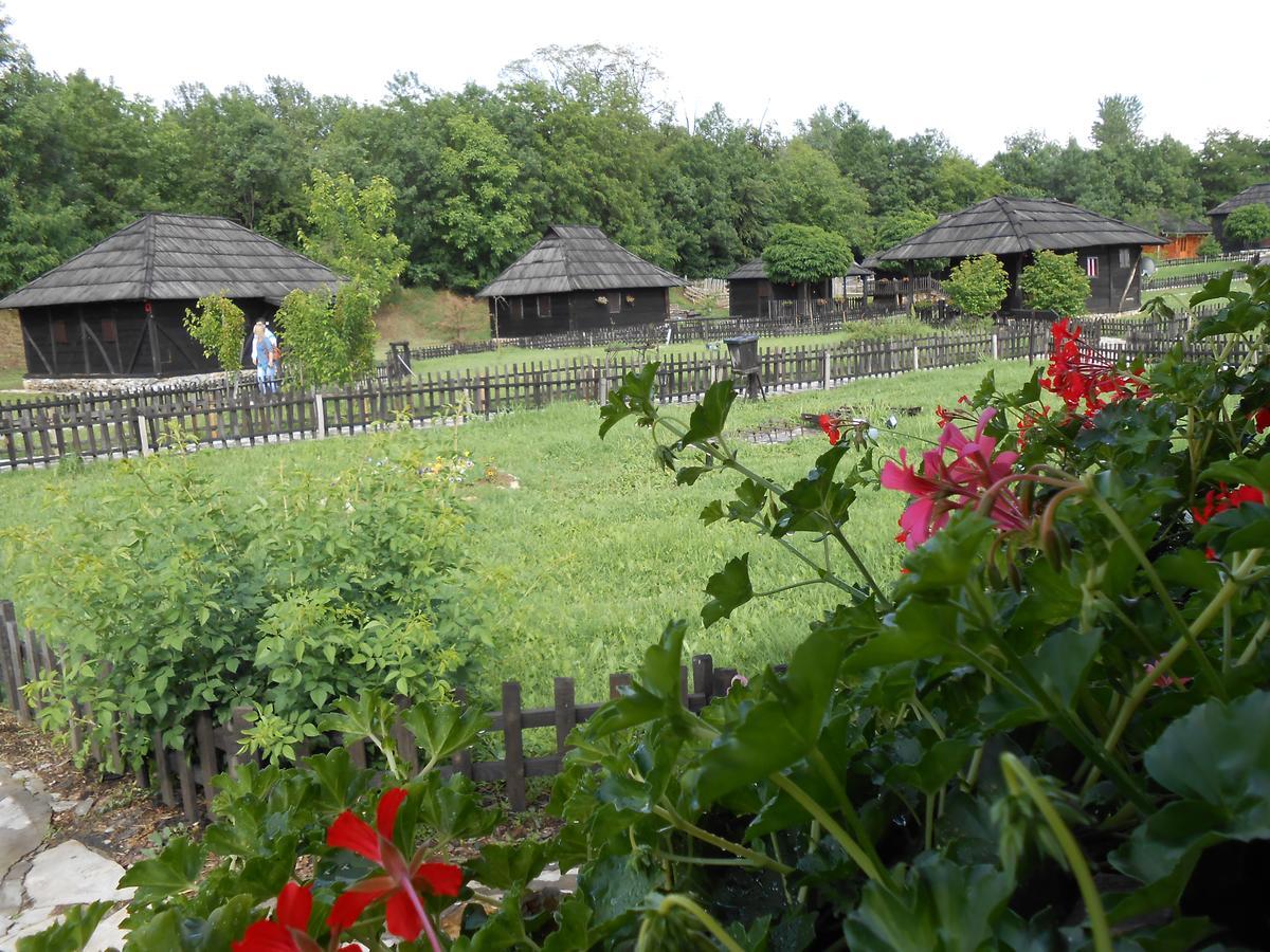 Etno Selo Moravski Konaci Plana Mare Exterior foto